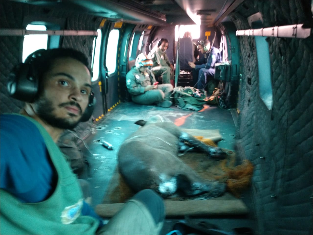 Animal foi levado para Corumb&aacute; em helic&oacute;ptero da Marinha - Foto: Divulga&ccedil;&atilde;o/Marinha